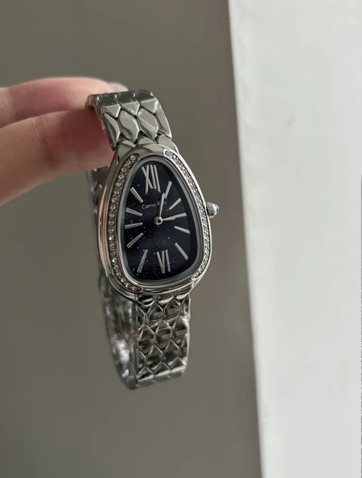 Classic Silver Snake Head Shape Bracelet Watch