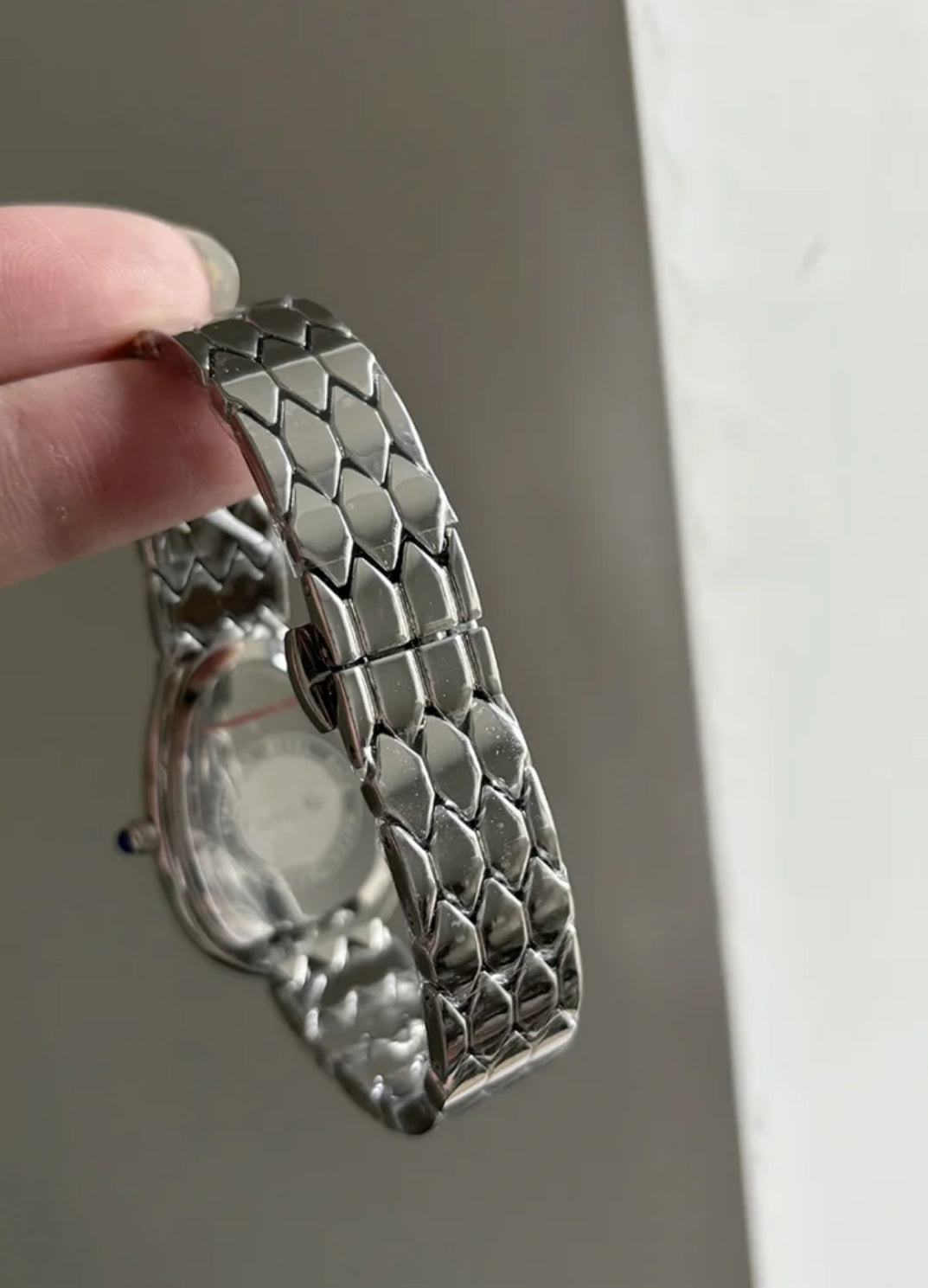 Classic Silver Snake Head Shape Bracelet Watch