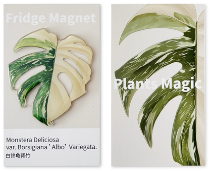 Monstera Fridge Magnet