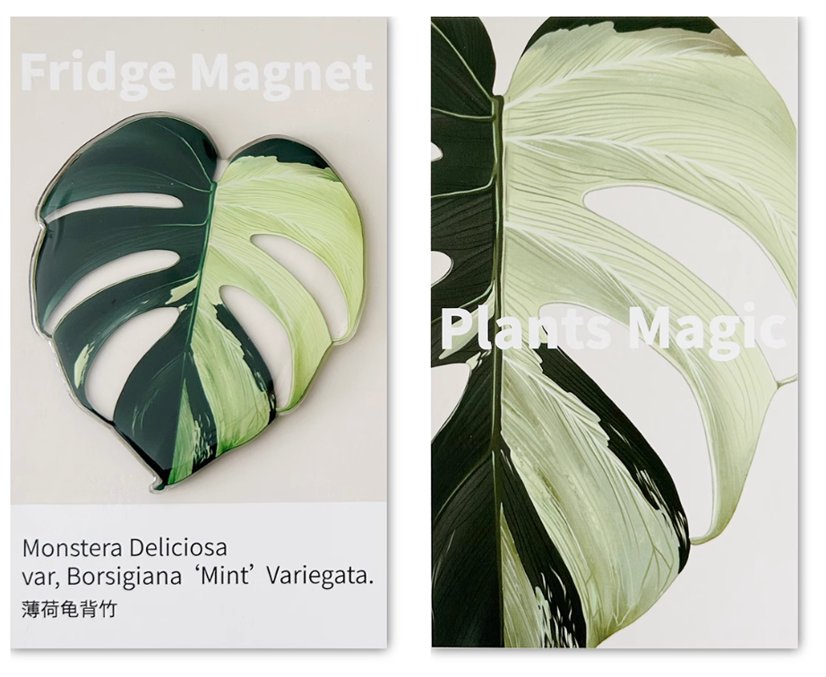 Monstera Fridge Magnet