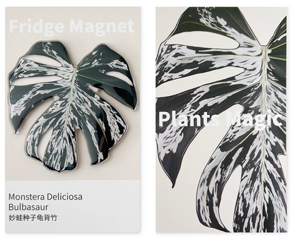 Monstera Fridge Magnet