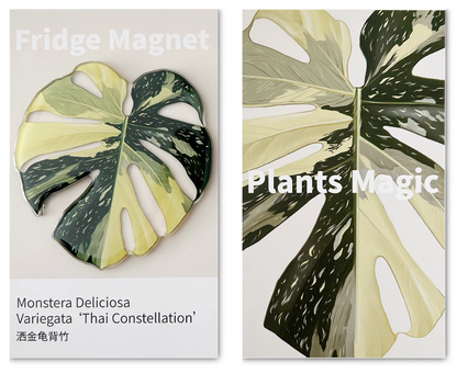Monstera Fridge Magnet