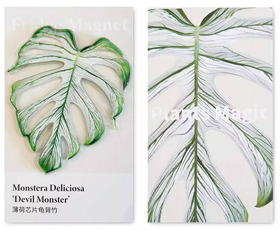 Monstera Fridge Magnet