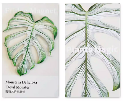 Monstera Fridge Magnet