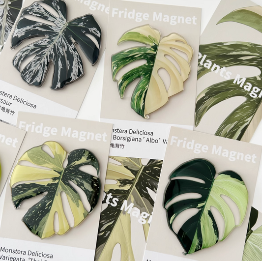 Monstera Fridge Magnet