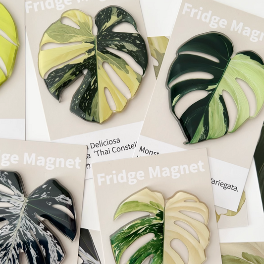 Monstera Fridge Magnet