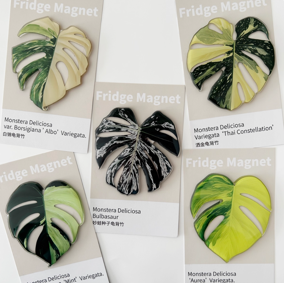 Monstera Fridge Magnet