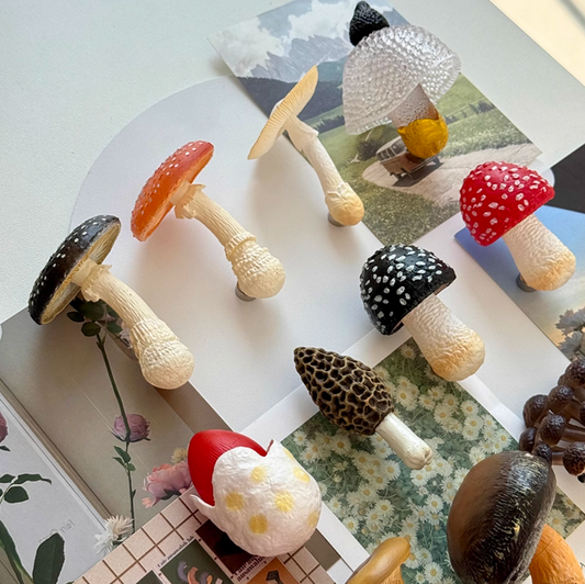 12 PCS Simulated Mushroom Fridge Magnet Set Creative Home Decor Realistic Fungus Magnetic Stickers
