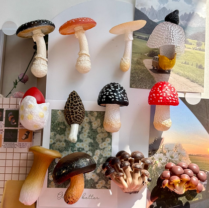 12 PCS Simulated Mushroom Fridge Magnet Set Creative Home Decor Realistic Fungus Magnetic Stickers