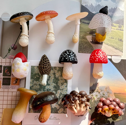 12 PCS Simulated Mushroom Fridge Magnet Set Creative Home Decor Realistic Fungus Magnetic Stickers