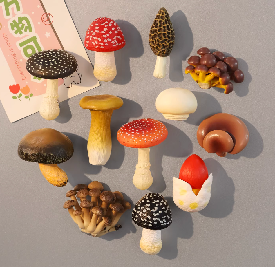 12 PCS Simulated Mushroom Fridge Magnet Set Creative Home Decor Realistic Fungus Magnetic Stickers