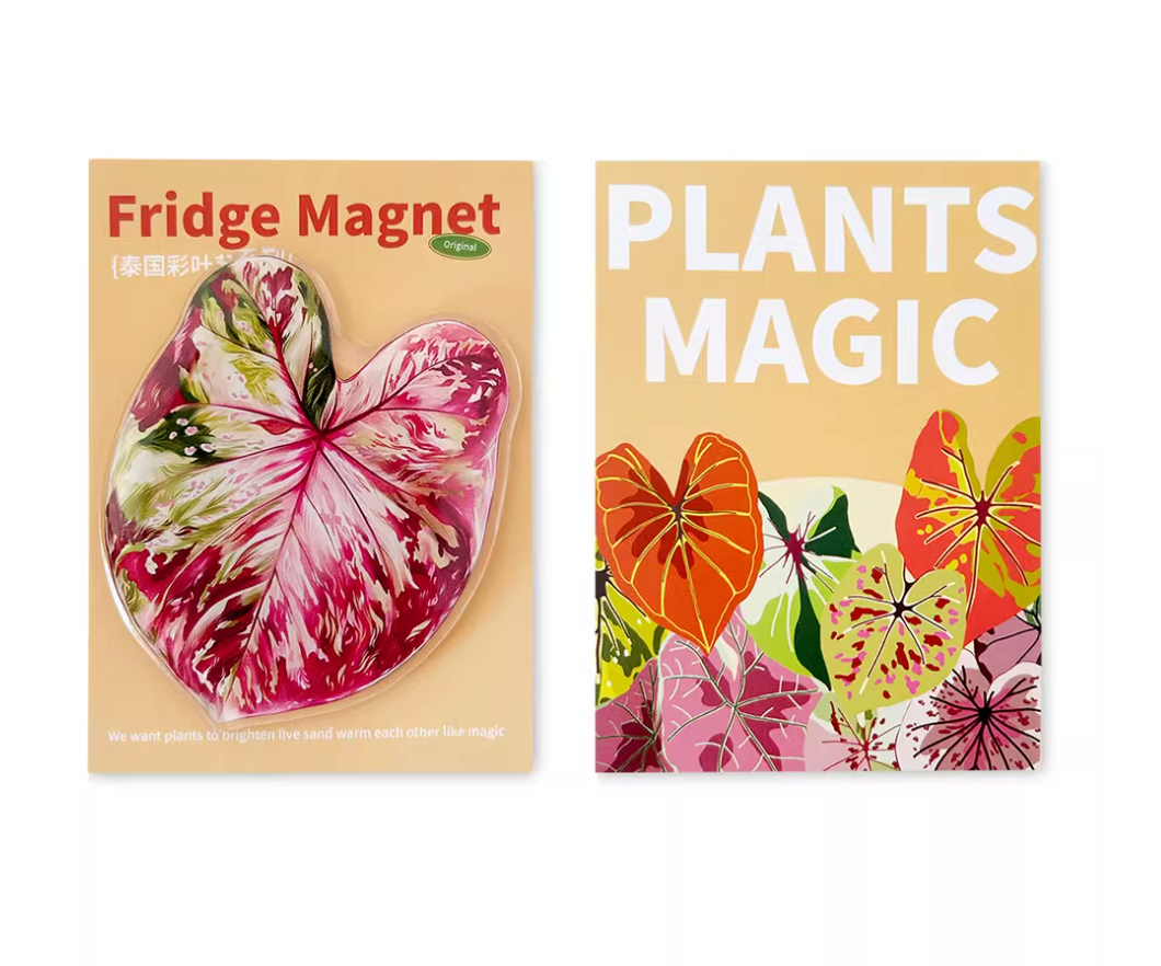 Pink Tropical Plants Cute Begonia Monstera Refrigerator Magnets, Kawaii Tropical Plants Refrigerator Magnets, Whiteboard Stickers