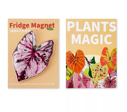 Pink Tropical Plants Cute Begonia Monstera Refrigerator Magnets, Kawaii Tropical Plants Refrigerator Magnets, Whiteboard Stickers
