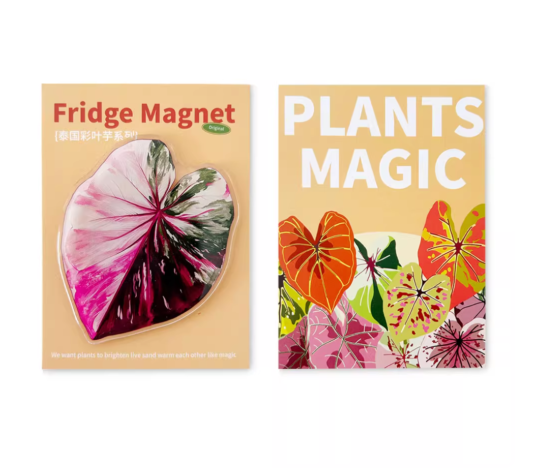 Pink Tropical Plants Cute Begonia Monstera Refrigerator Magnets, Kawaii Tropical Plants Refrigerator Magnets, Whiteboard Stickers