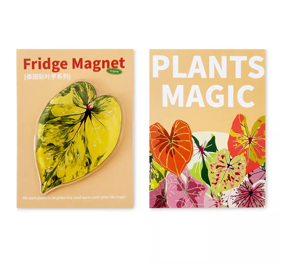 Pink Tropical Plants Cute Begonia Monstera Refrigerator Magnets, Kawaii Tropical Plants Refrigerator Magnets, Whiteboard Stickers