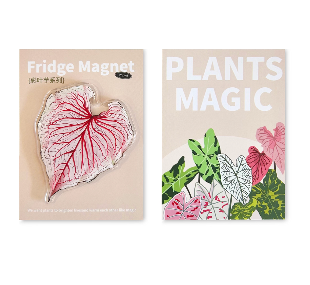 Pink Tropical Plants Cute Begonia Monstera Refrigerator Magnets, Kawaii Tropical Plants Refrigerator Magnets, Whiteboard Stickers