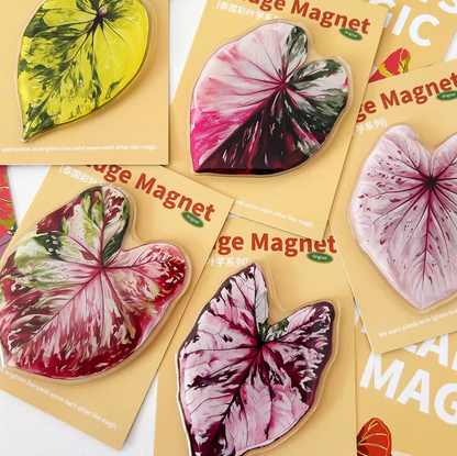 Pink Tropical Plants Cute Begonia Monstera Refrigerator Magnets, Kawaii Tropical Plants Refrigerator Magnets, Whiteboard Stickers