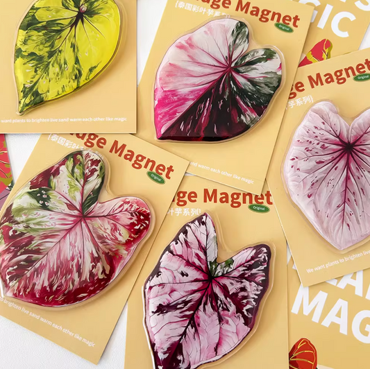 Pink Tropical Plants Cute Begonia Monstera Refrigerator Magnets, Kawaii Tropical Plants Refrigerator Magnets, Whiteboard Stickers