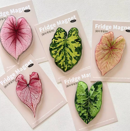 Pink Tropical Plants Cute Begonia Monstera Refrigerator Magnets, Kawaii Tropical Plants Refrigerator Magnets, Whiteboard Stickers