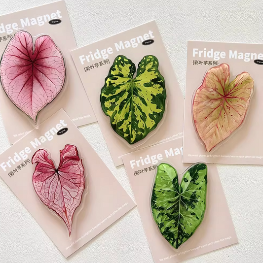Pink Tropical Plants Cute Begonia Monstera Refrigerator Magnets, Kawaii Tropical Plants Refrigerator Magnets, Whiteboard Stickers